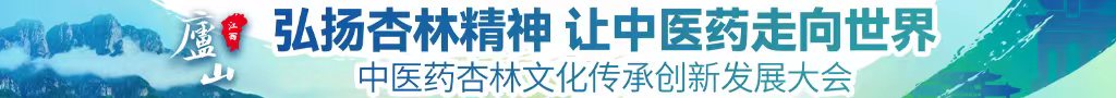 操逼好爽内射的视频中医药杏林文化传承创新发展大会